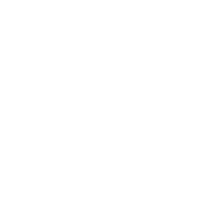 Türkiye'nin Yerel Sunucusu